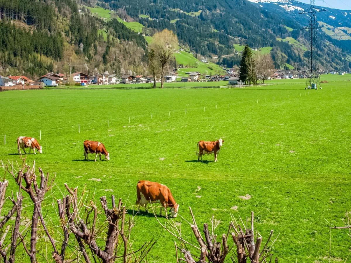 Beautiful Apartment In Ramsau With Balcony Ramsau im Zillertal Exteriör bild